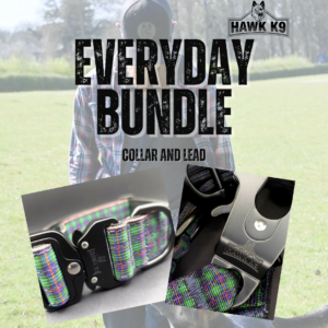 Everyday Bundle