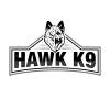 Logo Modification hawk 9 _310524-01